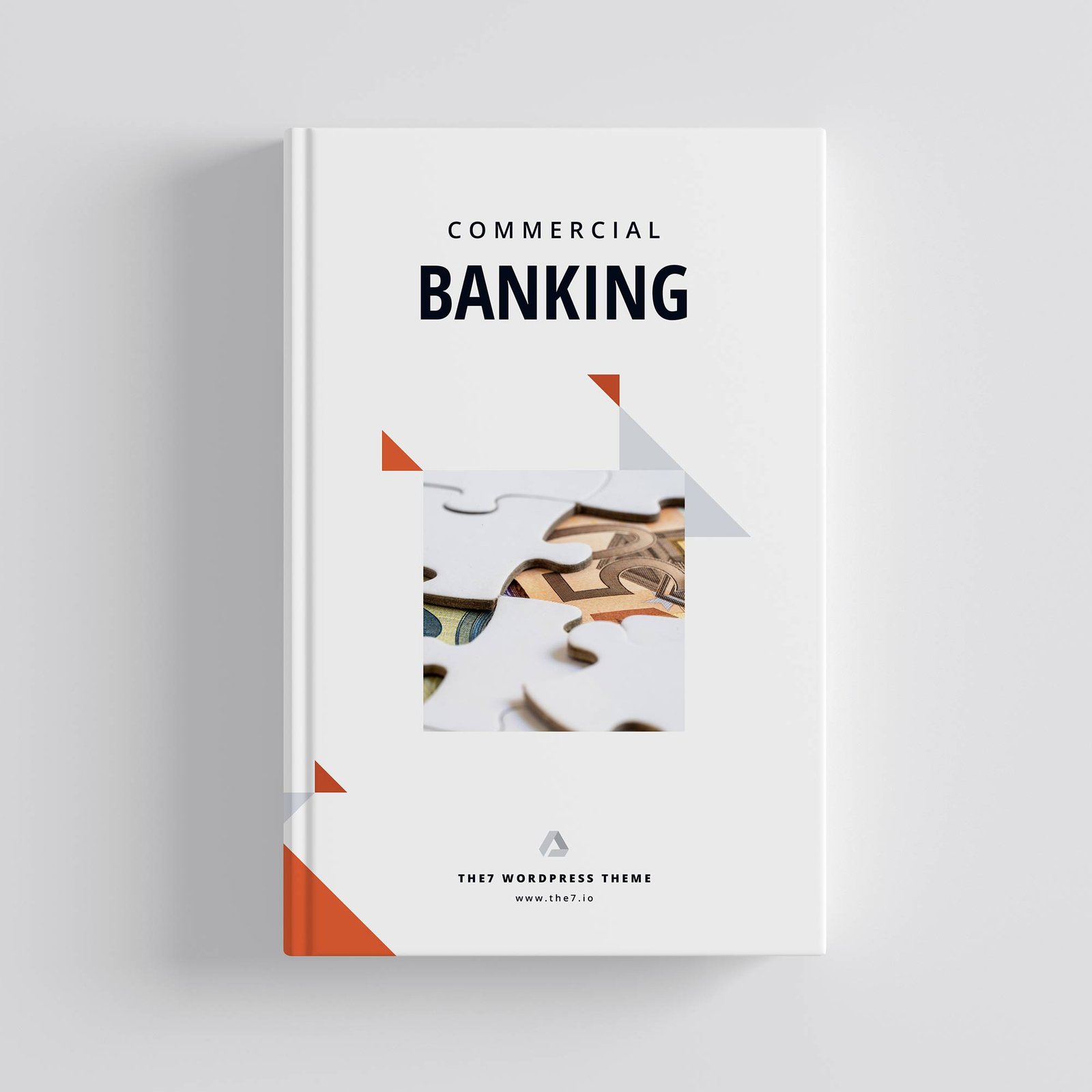 F1 OPT/STEM OPT Business Plan